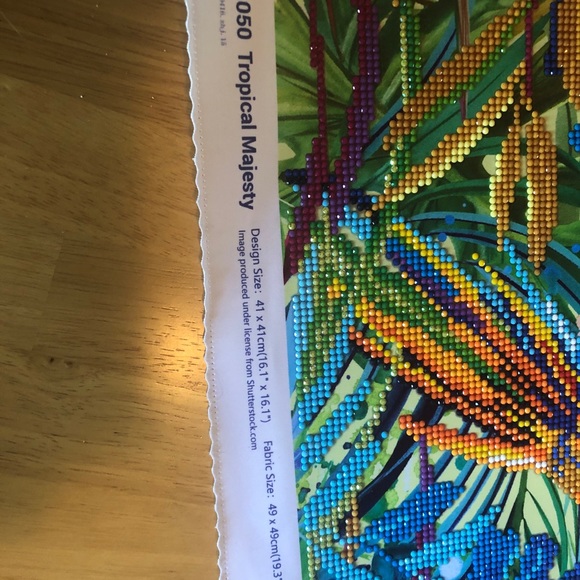 Parrot DIY Rhinestone Picture - Picture 3 of 4